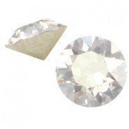 Swarovski Elements SS24 puntsteen Crystal silver shade