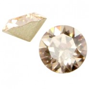 Swarovski Elements SS24 puntsteen Silk beige