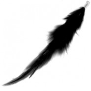 Feather ± 12cm Black