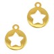 DQ metal charm round with star Gold