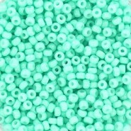 Miyuki seed beads 11/0 -  Duracoat opaque catalina 11-4472