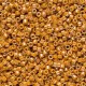 Miyuki delica Beads 11/0 - Opaque glazed toast ab  DB-2273