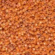 Miyuki delica Beads 11/0 - Opaque glazed persimmon ab DB-2274