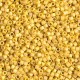 Miyuki delica Beads 11/0 - Opaque glazed frosted citron ab DB-2302