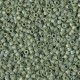 Miyuki delica Beads 11/0 - Opaque glazed frosted pistachio ab DB-2310