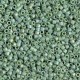 Miyuki Delica Perlen 11/0 - Opaque glazed frosted rainbow shamrock DB-2312