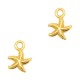 DQ Metal charm Starfish Gold