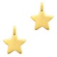 DQ Metal charm Star Gold