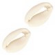 Cowrie shell bead 17x10mm Off White