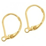 Stainless steel Earrings closable Gold