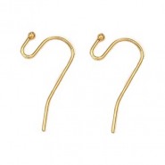 Roestvrij stalen (RVS) oorhangers 21x10mm Goud