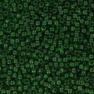 Toho rocailles 11/0 rond Transparent Grass Green TR-11-7B