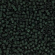 Toho seed beads Toho 11/0 round Transparent Green Emerald TR-11-939