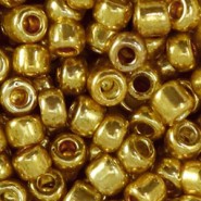 Glas rocailles kralen 6/0 (4mm) Metallic shine gold