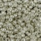 Glas rocailles kralen 8/0 (3mm) Metallic shine warm silver