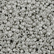 Glas rocailles kralen 8/0 (3mm) Metallic shine silver