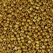 Glas rocailles kralen 11/0 (2mm) Metallic shine gold
