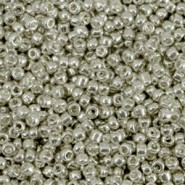 Glas rocailles kralen 11/0 (2mm) Metallic shine warm silver