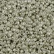 Seed beads 11/0 (2mm) Metallic shine warm silver