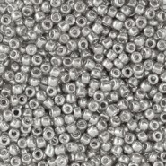 Seed beads 11/0 (2mm) Metallic shine silver